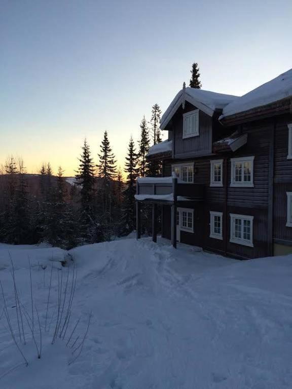 Flat In Trysil Ski In Ski Out And Sauna Kültér fotó